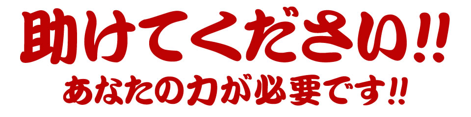 助けてください！私たちにはあなたの力が必要です！